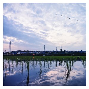 天天操免费视频
